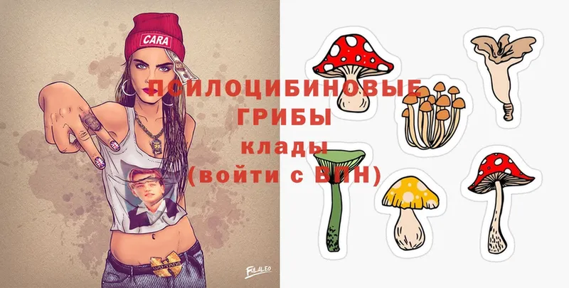 Галлюциногенные грибы MAGIC MUSHROOMS  Благодарный 